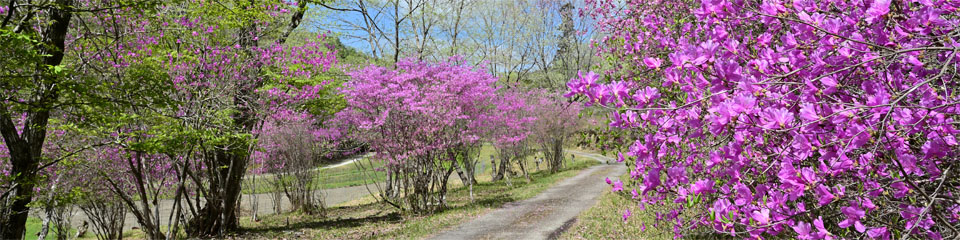 一般財団法人　西谷自治振興